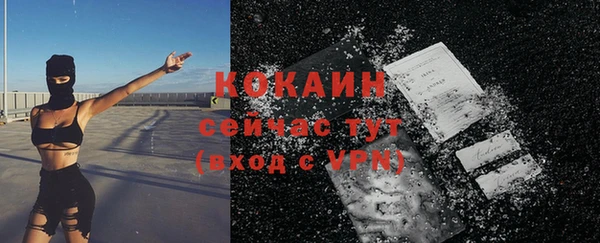 тгк Няндома