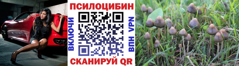 Псилоцибиновые грибы Psilocybe  Купить  Мариинск 